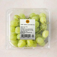 PSK 미국산 청포도, 490g, 1개