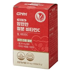 GNM 安心鐵質維他命C 30g, 1個