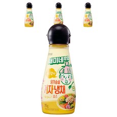 새미네부엌 닭가슴살 겨자냉채 소스, 295g, 4개