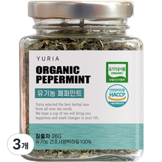 YURIA 玻璃瓶裝薄荷茶, 26g, 1入, 3個