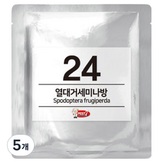 페스트세븐 페로몬 유인제 24 열대거세미나방, 5개