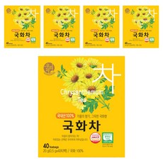 우리차 국화차 티백, 500mg, 40개입, 5개