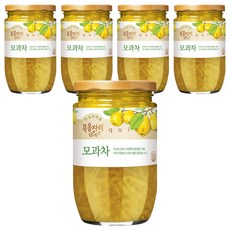 복음자리 모과차, 480g, 1개입, 5개