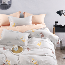 Prawear 巴麗維亞 石墨烯&天絲 兩用被床包4件組