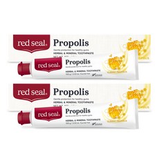 레드씰 프로폴리스 치약, 100g, 2개