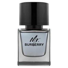 BURBERRY 巴寶莉 台灣公司貨 Mr. Burberry男性淡香水, 50ml, 1個