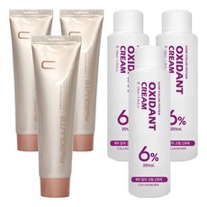 에비뉴쉬에뜨 앱솔루트 컬러링 크림 염색제 120g + 산화제 100ml, 자연은회색, 3개