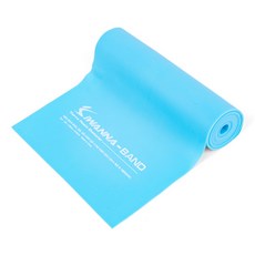 아이워너 엑서사이즈 밴드, 블루, 1개