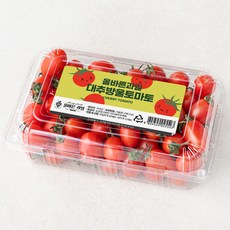 올바른과일 대추방울 토마토, 1kg, 1팩