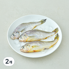 산지직송 일품 법성포 선별참조기 (냉장), 2개, 240g(대, 3미)