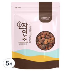 산사 산사나무 열매, 250g, 5개