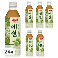 양반 매실 주스, 500ml, 24개