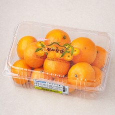 탐라황감 고당도 카라향, 1.2kg, 1개