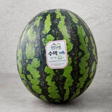 진안고원 마이산 GAP 당도선별 11.5brix 수박, 10kg 미만, 1개