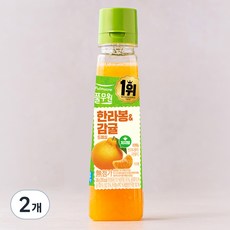 풀무원 리얼과일 한라봉 감귤 드레싱, 240g, 2개