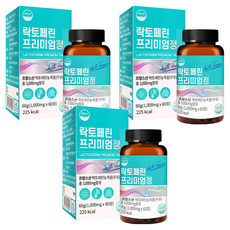 웰리즈 락토페린 프리미엄정 60g, 60정, 3개
