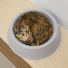 STUDIO ALIVE Cat Illu 紙漿墊, 灰色