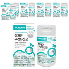 영진약품 상쾌한 특허 LGG 구강 유산균 30g, 30정, 6개