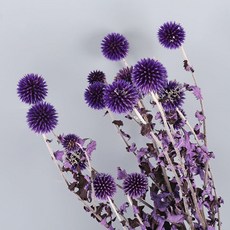 GAPANG 乾花05號 DRYB006, 混色