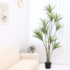 다우에프앤지 인조목 마지나타, 150CM, 1개