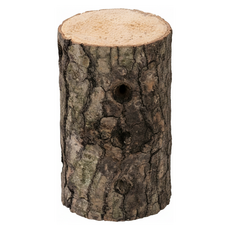 PetBest 蟲森林國產優質產卵木 7~9cm, 1個, 原木色