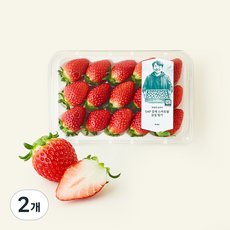 GAP 인증 류필영 농부의 김제 스마트팜 금실 딸기 12~15과, 400g, 2개
