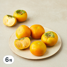 북창원농협 줄단감, 6개, 750g(소과, 5입)