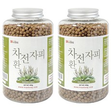 갑당약초 차전자피환, 400g, 2개