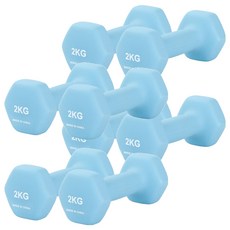 리브스포 논슬립 아령, 2kg, 8개