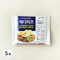 동원 소와나무 체다치즈, 20g, 5개입, 5개