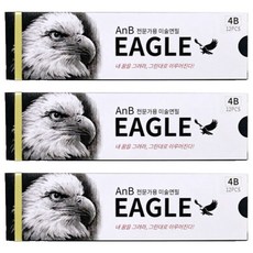 AnB AnB Eagle專業用美術鉛筆 12入, 4B, 3個