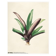 AIRTEC Air Wall Air Fresh 壁貼海報 植物04, 無框