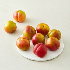 곰곰 맛있는 자두, 700g(소과), 1팩