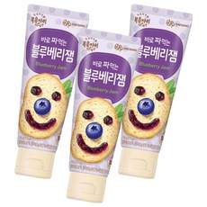 복음자리 바로 짜먹는 블루베리잼, 100g, 3개
