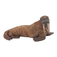 COLLECTA 海洋動物系列 3歲以上適用, 海象 咖啡色, 1個