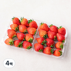 국내산 한반도 설향 딸기, 750g, 4팩