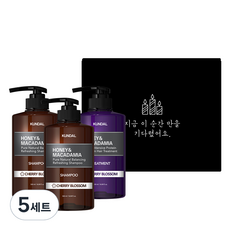 쿤달 생일선물세트 체리블라썸향 A타입 샴푸 2개 + 트리트먼트, 5세트