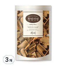 한방선생 사각 계피 특품, 600g, 3개, 1개입