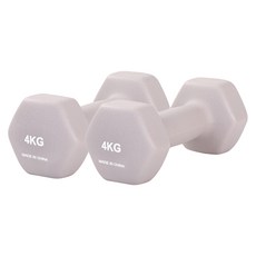 리브스포 논슬립 아령, 4kg, 2개