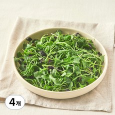 유기농 베이비채소, 4개, 100g
