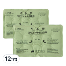제이와이메디칼 강화 약쑥 냉온 찜질팩, 12개