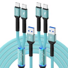 Seoga 金屬Type-C 2合1多功能高速充電線 薄荷綠 2m 2入, 2個