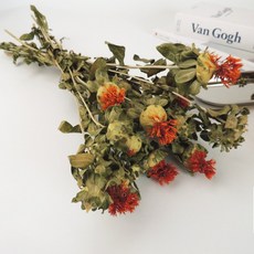 GAPANG 尤加利乾燥花 DRYB280, 03號 紅色