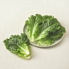 유기농 로메인 상추, 1개, 100g
