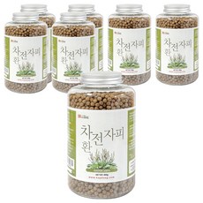 갑당약초 차전자피환, 400g, 7개