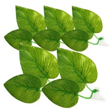 Aquatera 躲藏處鬥魚床, 5個