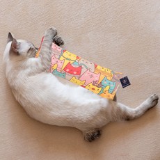 딩동펫 고양이 볼드 마따따비 바스락 캣닢 쿠션 대형, 라임, 1개