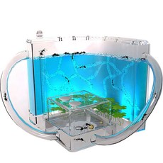 Home&Nature LED螞蟻屋飼養, 1個, 藍色