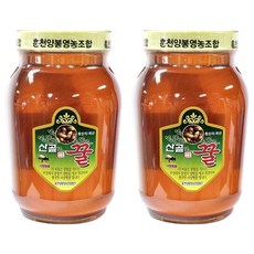 동광한방몰 홍천 벌꿀 잡화, 1.2kg, 2개