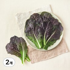 친환경 국내산 적겨자, 2개, 100g